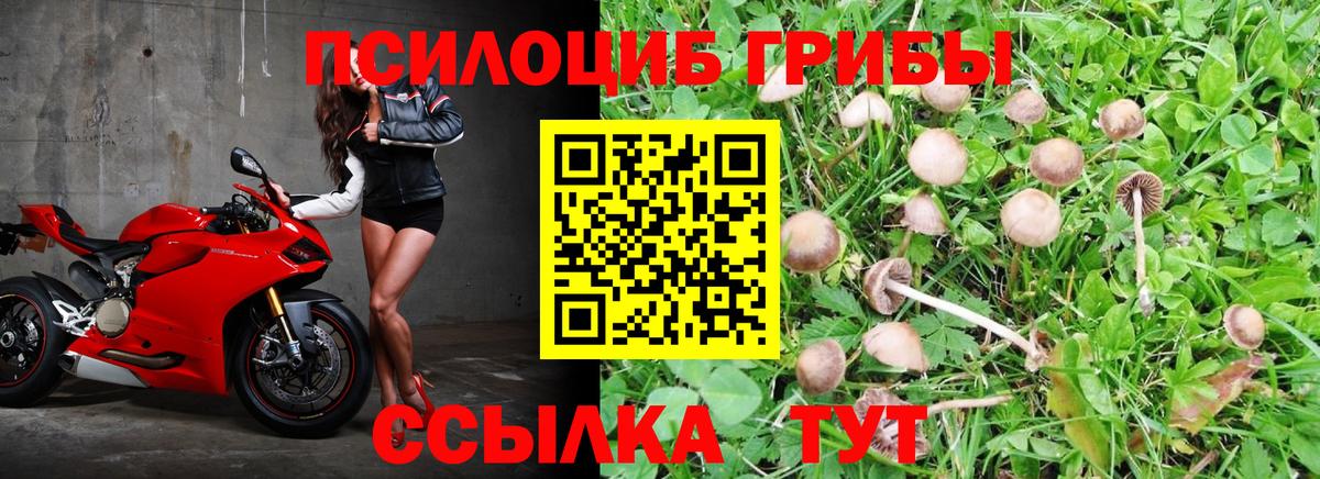 Псилоцибиновые грибы мухоморы Ялта